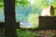 DSCF8081 — копия — копия